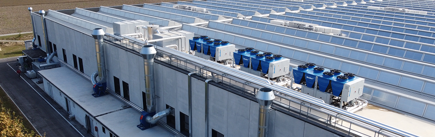 Sustainability and well-being throughout