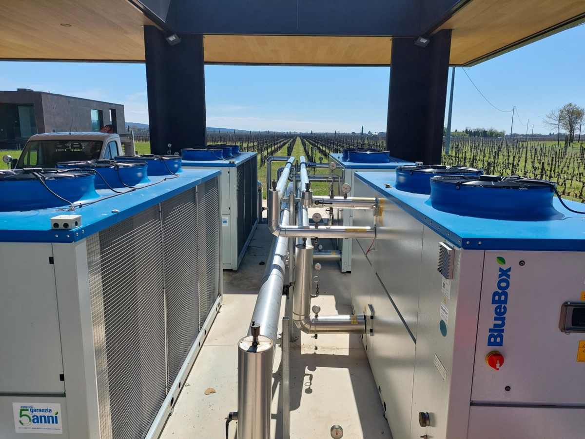 Reference case: A holistic view at Vie di Romans winery 